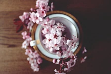 deco fleurs ambiance deco fleurs ambiance